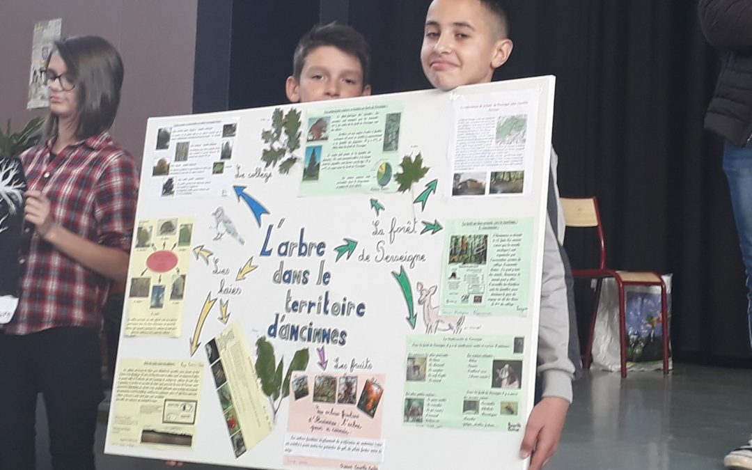 Journée 5eme « L’arbre dans le territoire »